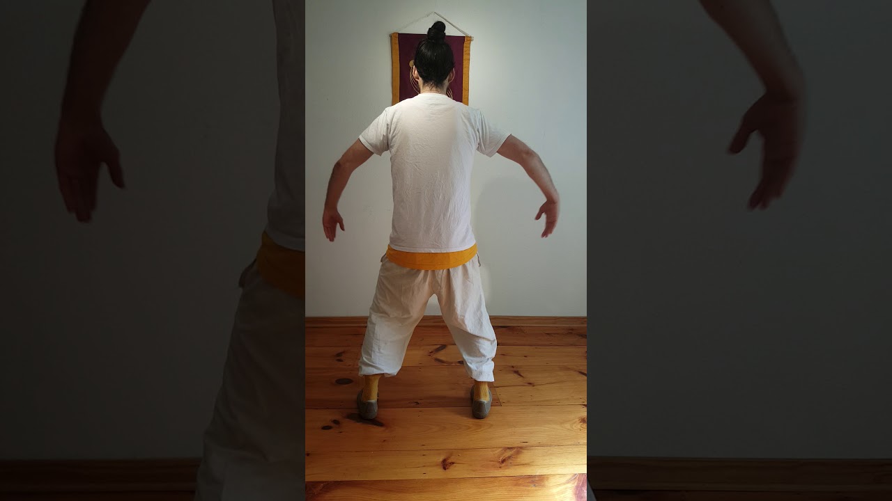 Wudang Golden Snake Qigong