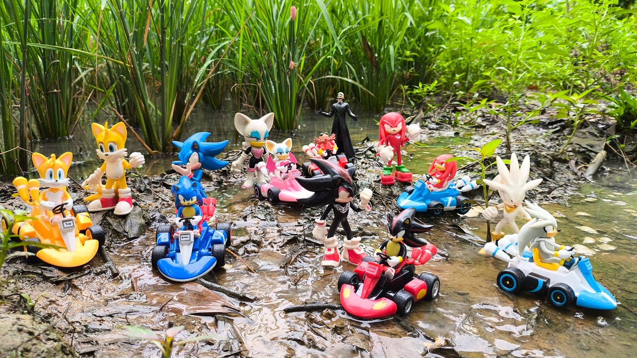 Sonic Hunter | Sonic Hedgehog | Knuckles | Tails | Super Sonic | Sonic Shadow | Metal Sonic | Amy