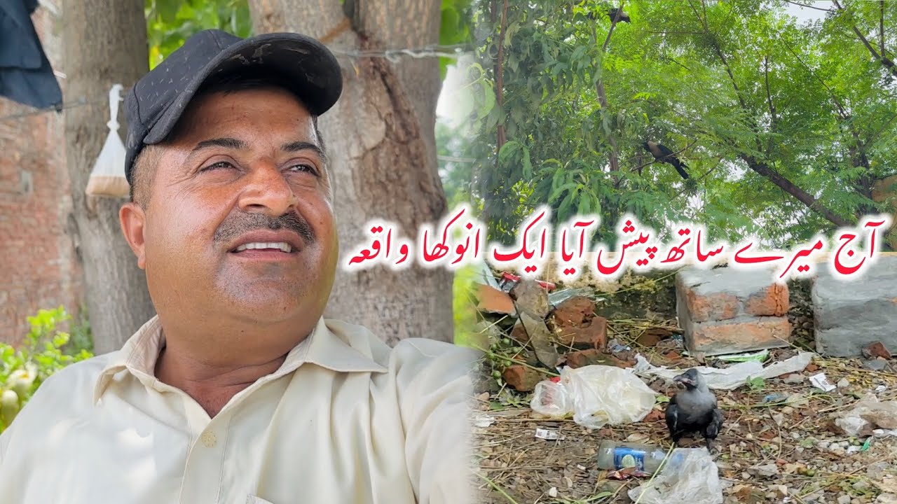 Aj mere Sath pesh Aya Anokha Waqia | Crows 🐦‍⬛ |