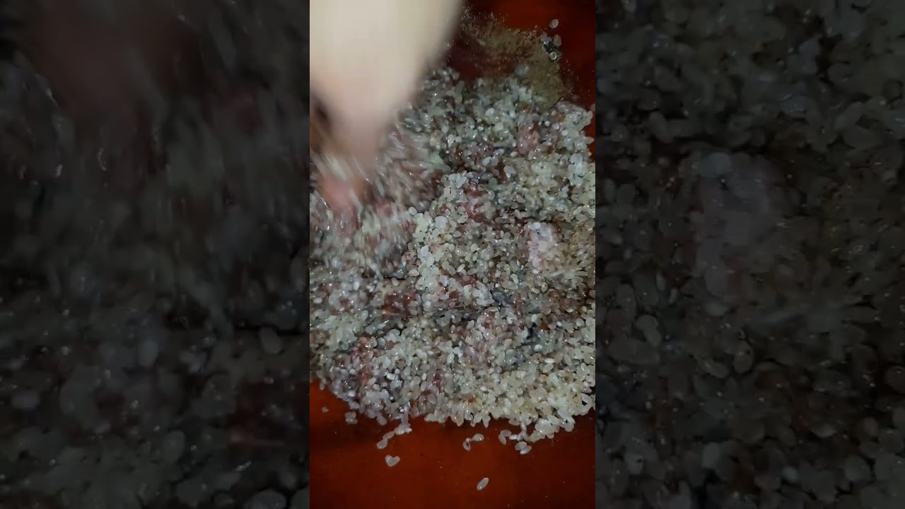 محشي الكوسا بصلصة البندورة الشهيه على طريقة فلسطينية