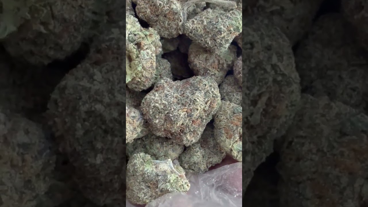DONNIE BURGER.        INDICA THC 25%  HAVE YOU VERY CREATIVE