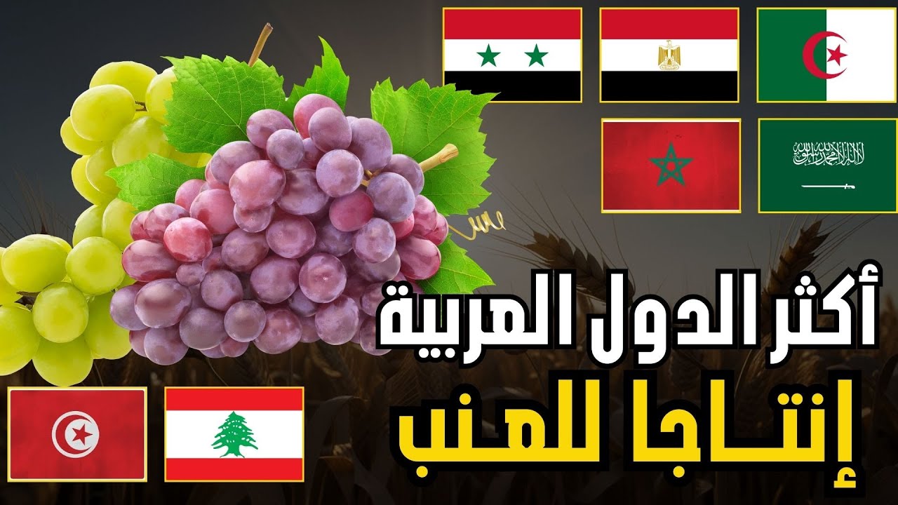 🍇 من يتصدر إنتاج العنب؟ | ترتيب الدول العربية حسب إنتاج العنب(الفاو 2026)