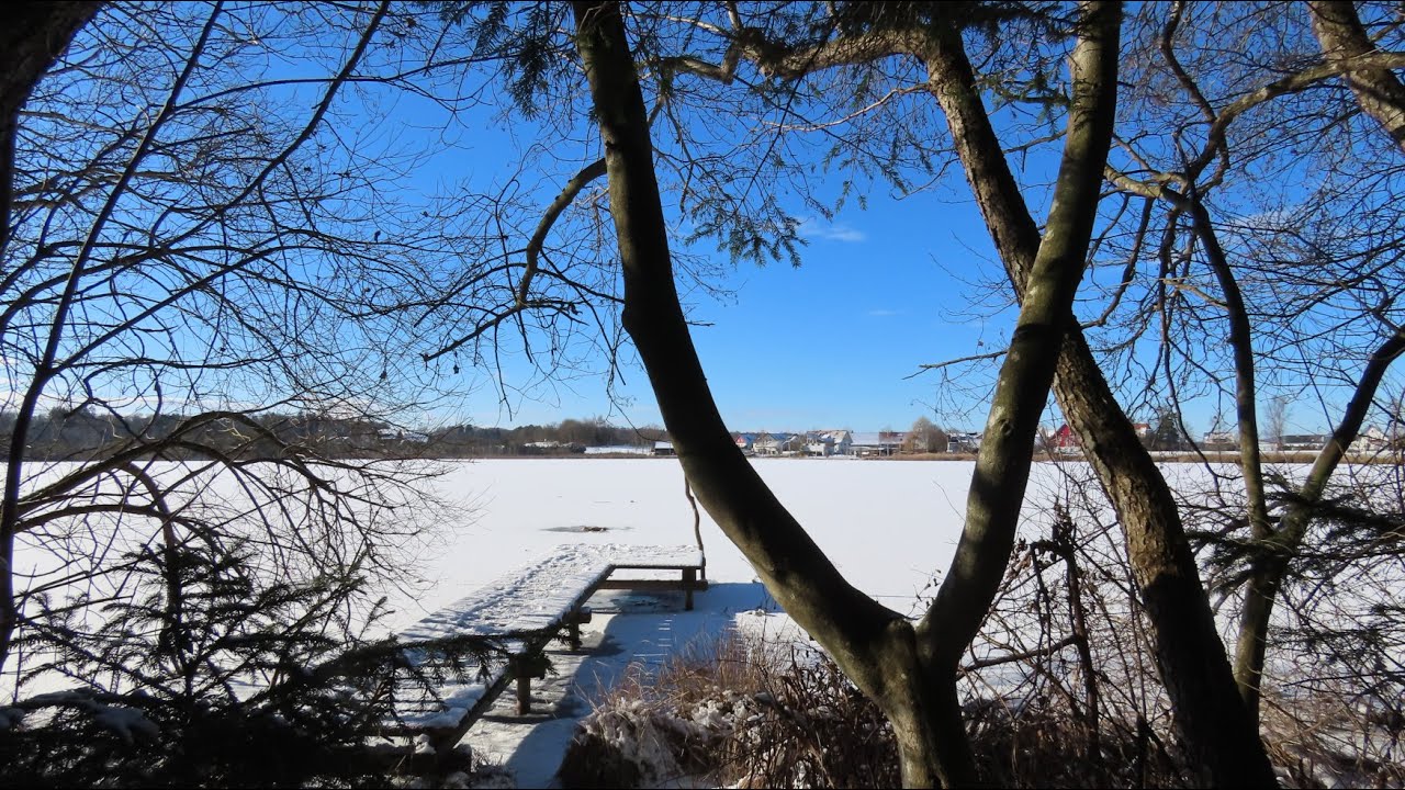 Spaziergang im Schnee am Häcklerweiher.