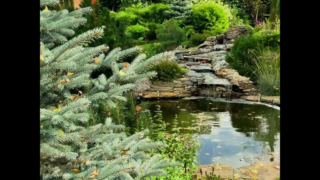 Сад 7 соток, природный стиль. г. Новосибирск