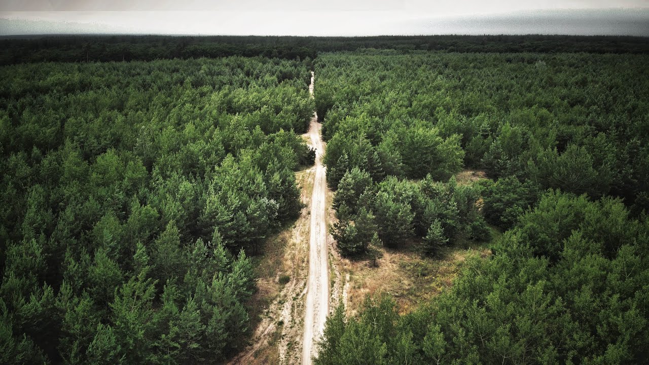 By bicycles to the Karabinovsky Maidan and the Salt estuary