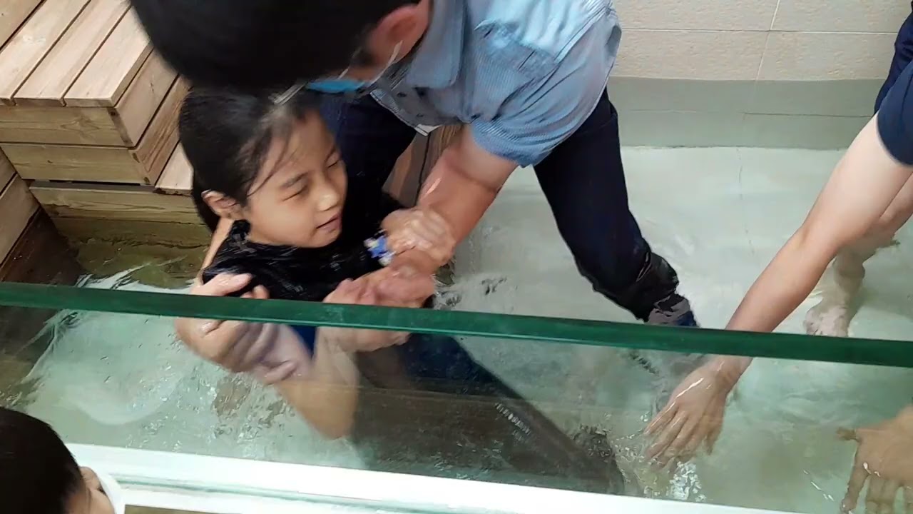 恩悅受浸過程