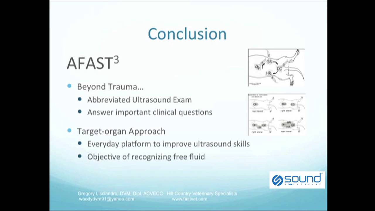 Veterinary AFAST Exam Abdominal Fluid Score Section 06
