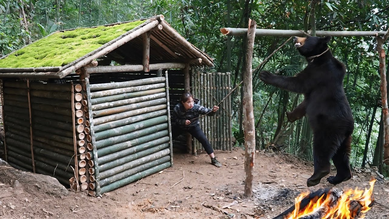Discovering wild bear tracks, building a new shelter, catching stream fish, survival alone