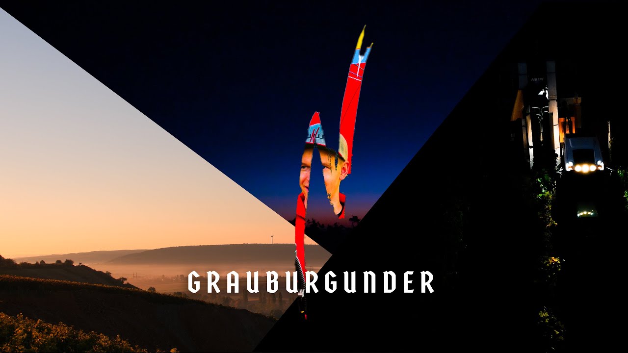 Winzertagebuch, Ernte vom Grauburgunder