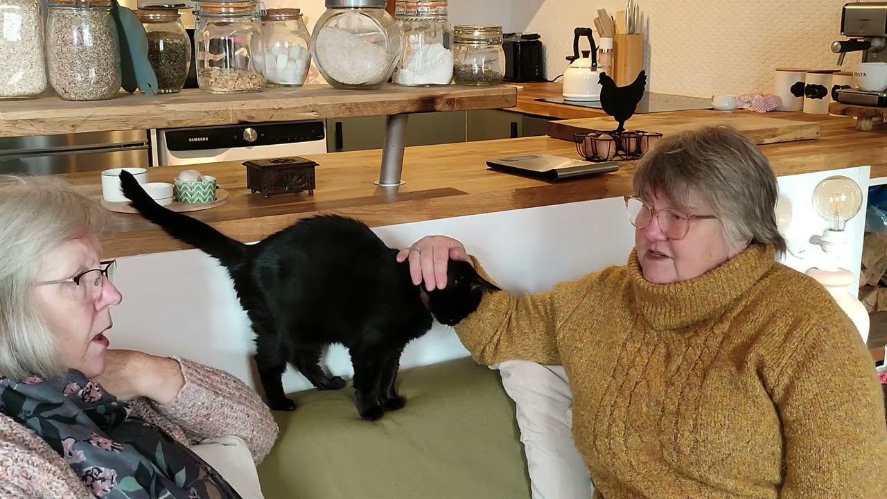 Sharon interviews me about living in France!