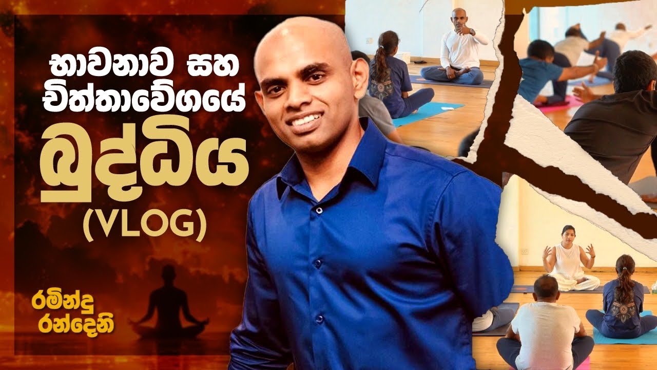 චිත්තා වේගී බුද්ධිය  | Emotional Intelligence  & Meditation Vlog day