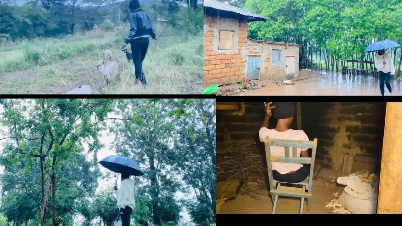Rainy day in a Kenyan Village, peaceful rural life and cooking ￼ pilau￼