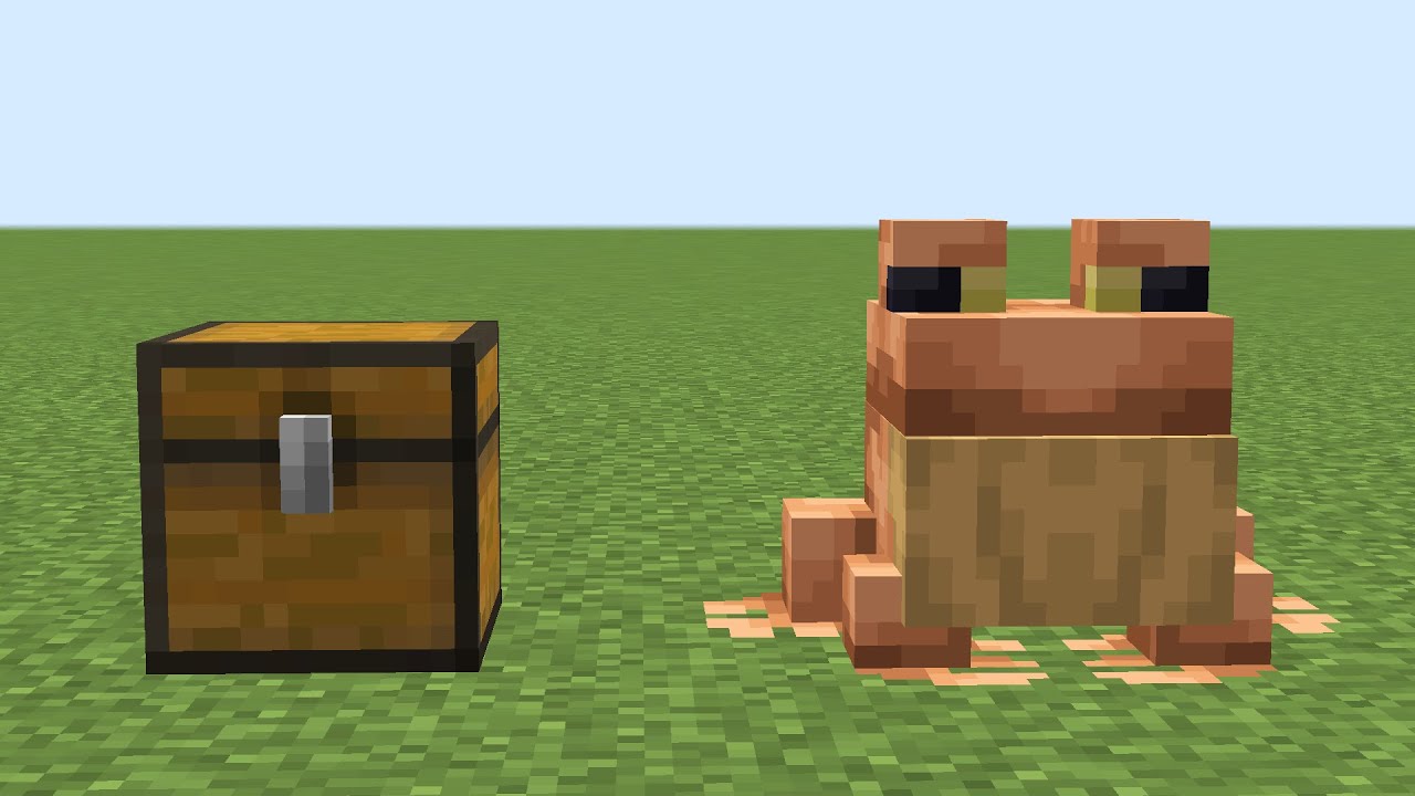 frog chest