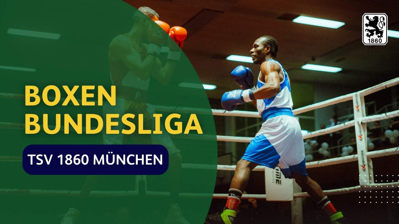 1. Bundesliga Boxen: TSV 1860 München vs. BC Chemnitz