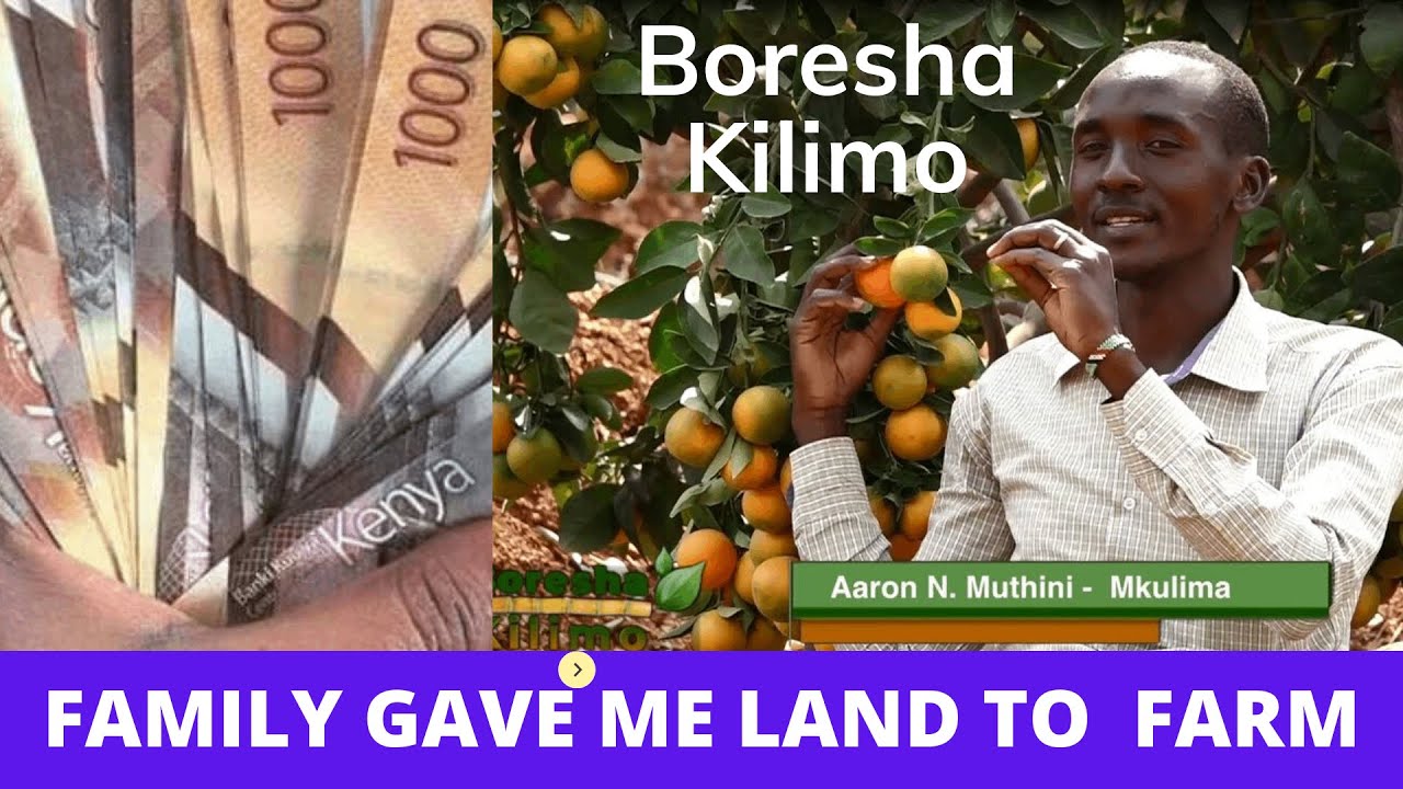 Graduate on the road to earn Ksh 20 Million from Pixie Oranges: Makueni County Edition. Part 1