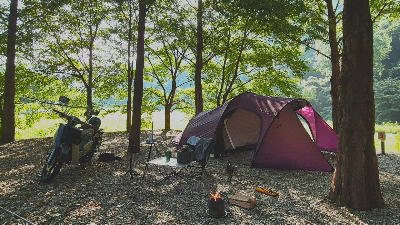 숲속, 나홀로 슈퍼커브 모토캠핑 l 미니멀웍스 보니아또ㅣ금산자연오토캠핑장