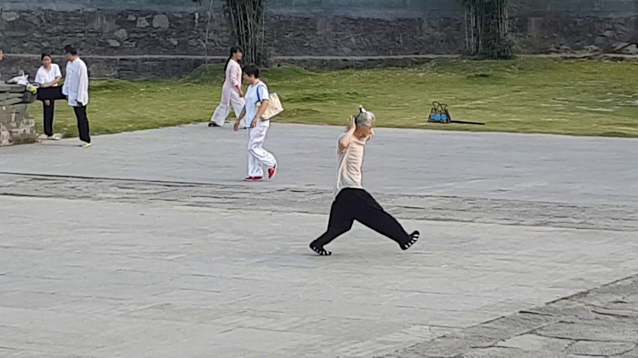 Bagua Zhang - Old Master