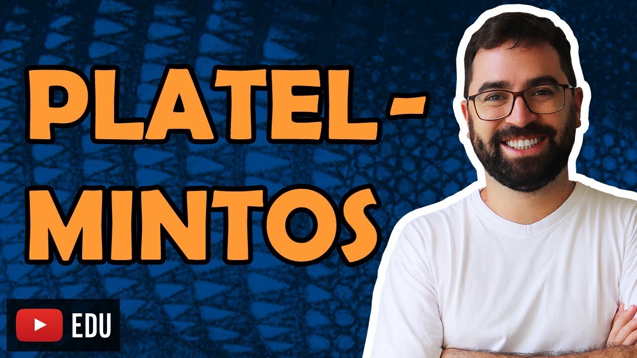 Platelmintos - Aula 10 - Módulo VI: Zoologia | Prof. Guilherme