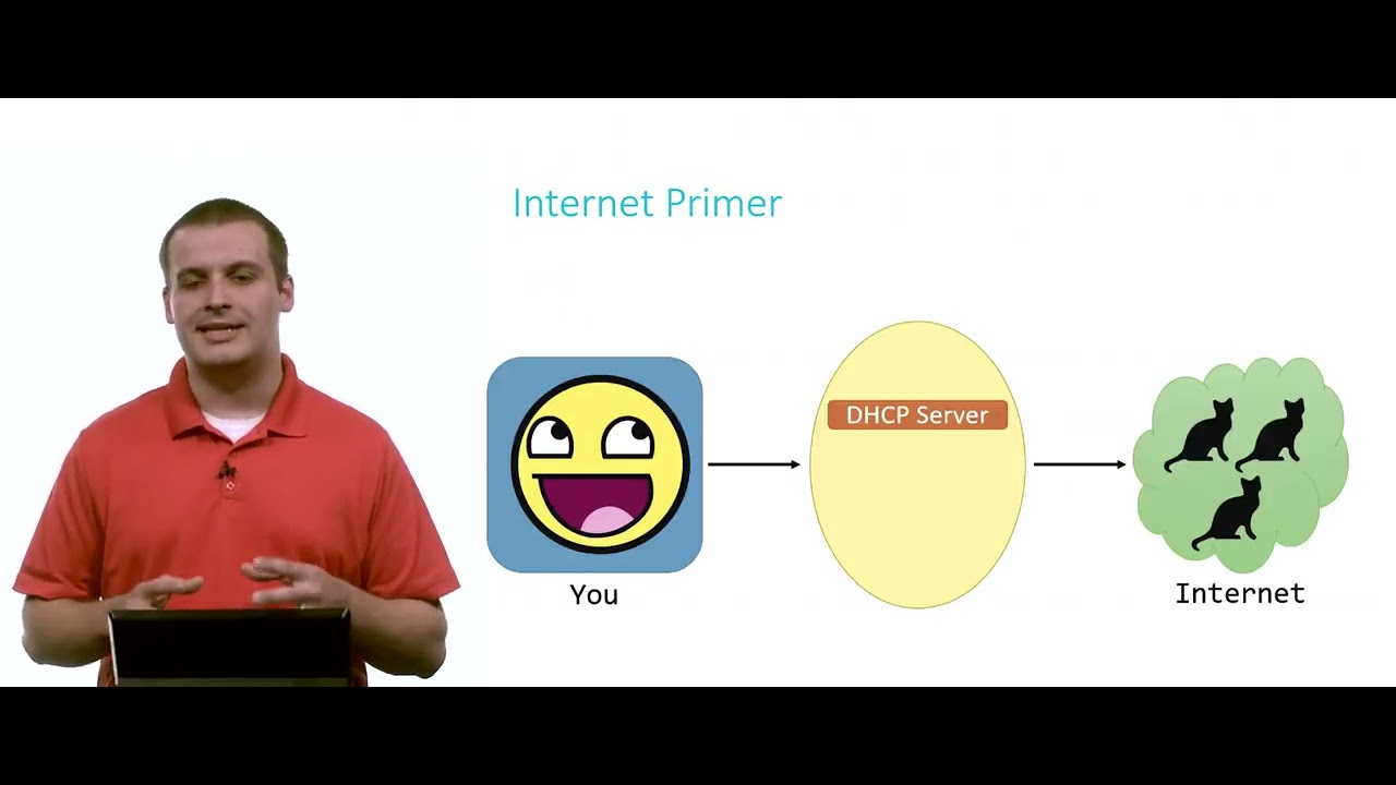 53 - CS50 -  section8 HTML, CSS, JavaScript - internet_primer