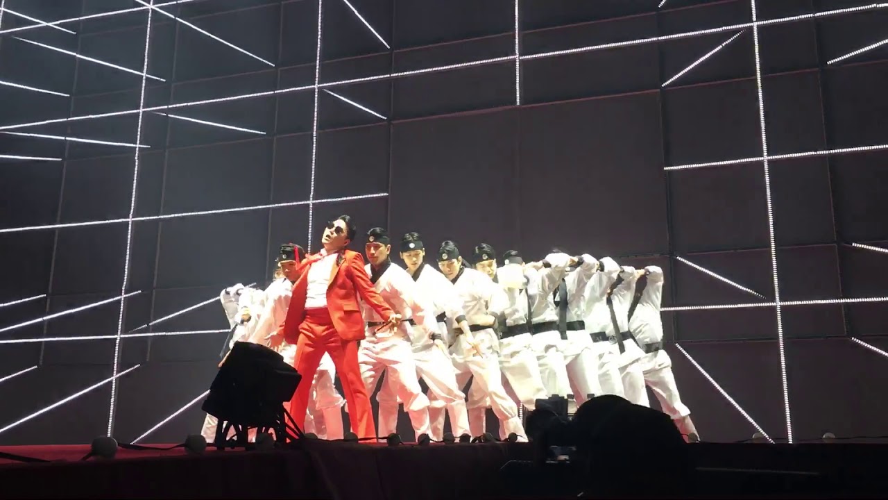 191222 싸이(PSY) - 새 [싸이 올나잇스탠드 2019 광끼의 갓싸이 - 서울 3공]