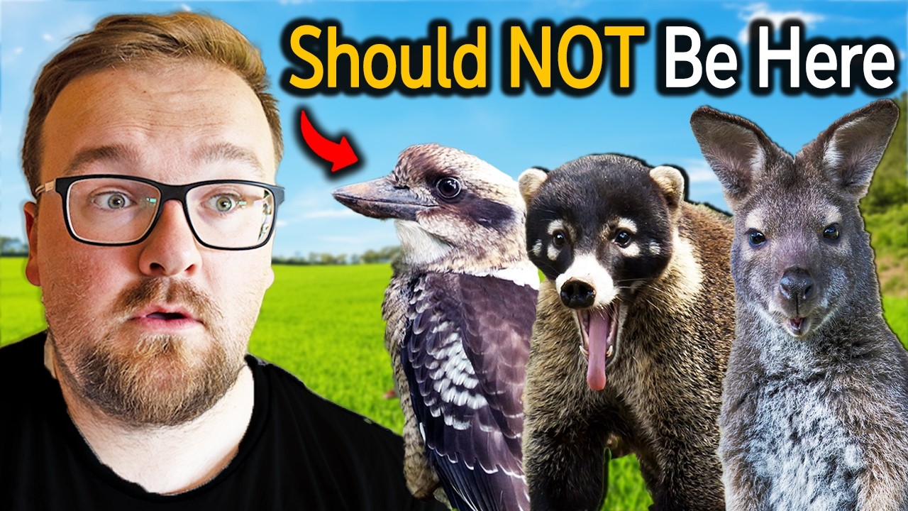 6 Animals That Should NOT Be In The UK