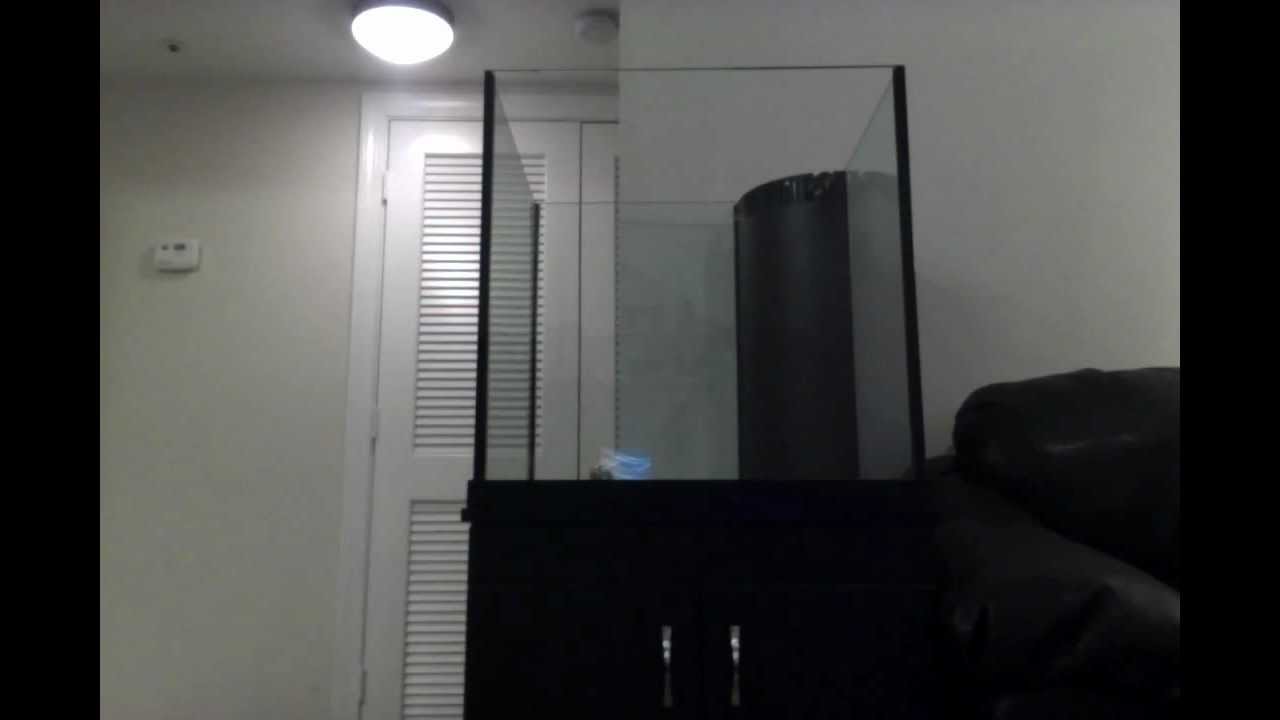 Leyth's Deep Blue Edge Rimless 60 gallon Video 1
