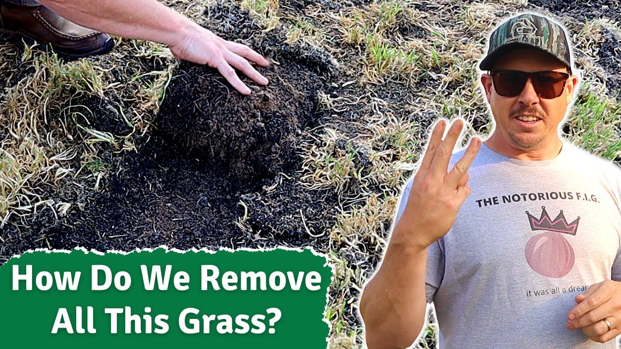 3 WAYS TO GET YOUR GARDEN READY FOR SPRING!
