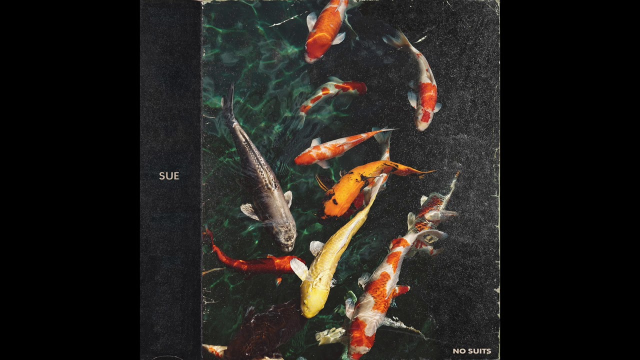 no suits - Sue