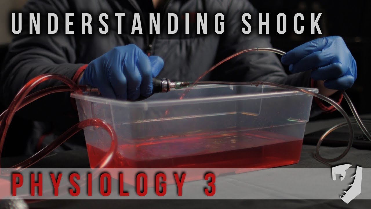 Physiology Part 3 - Easy Explanation of Severe Illness and Shock (Six Echo)