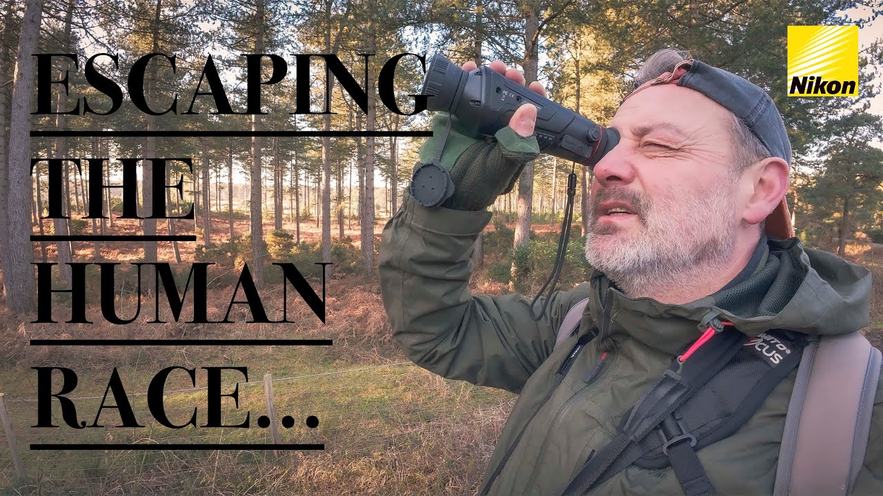 Seeking Solitude & OWLS With A THERMAL Scope || WILDLIFE PHOTOGRAPHY || NIKON Z8 || 4K