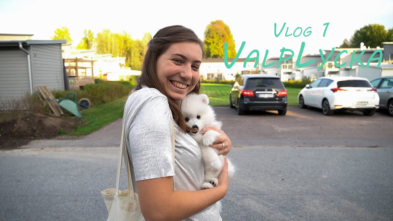 Vlog 1 - ValpLycka