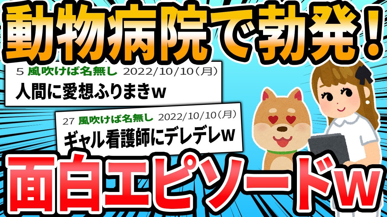 【ほっこり】動物病院での、感動・ほっこり・笑えるエピソード【2ch面白いスレ】