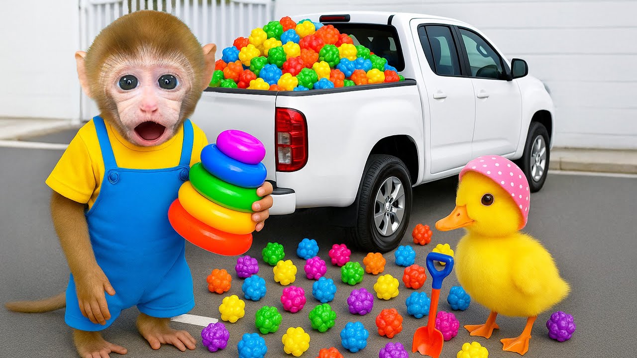Mono BeBe tierno disfruta palomitas de colores y juega con los Patitos en el parque!