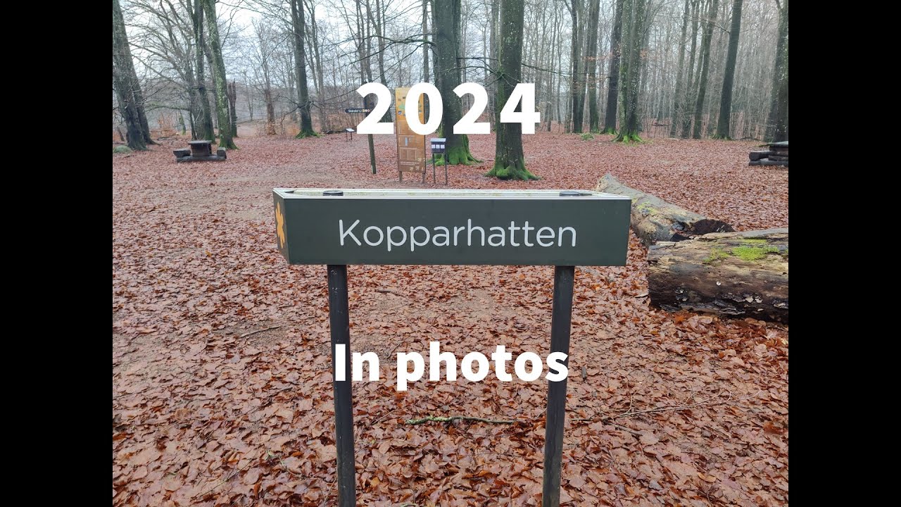 My 2024 in photos