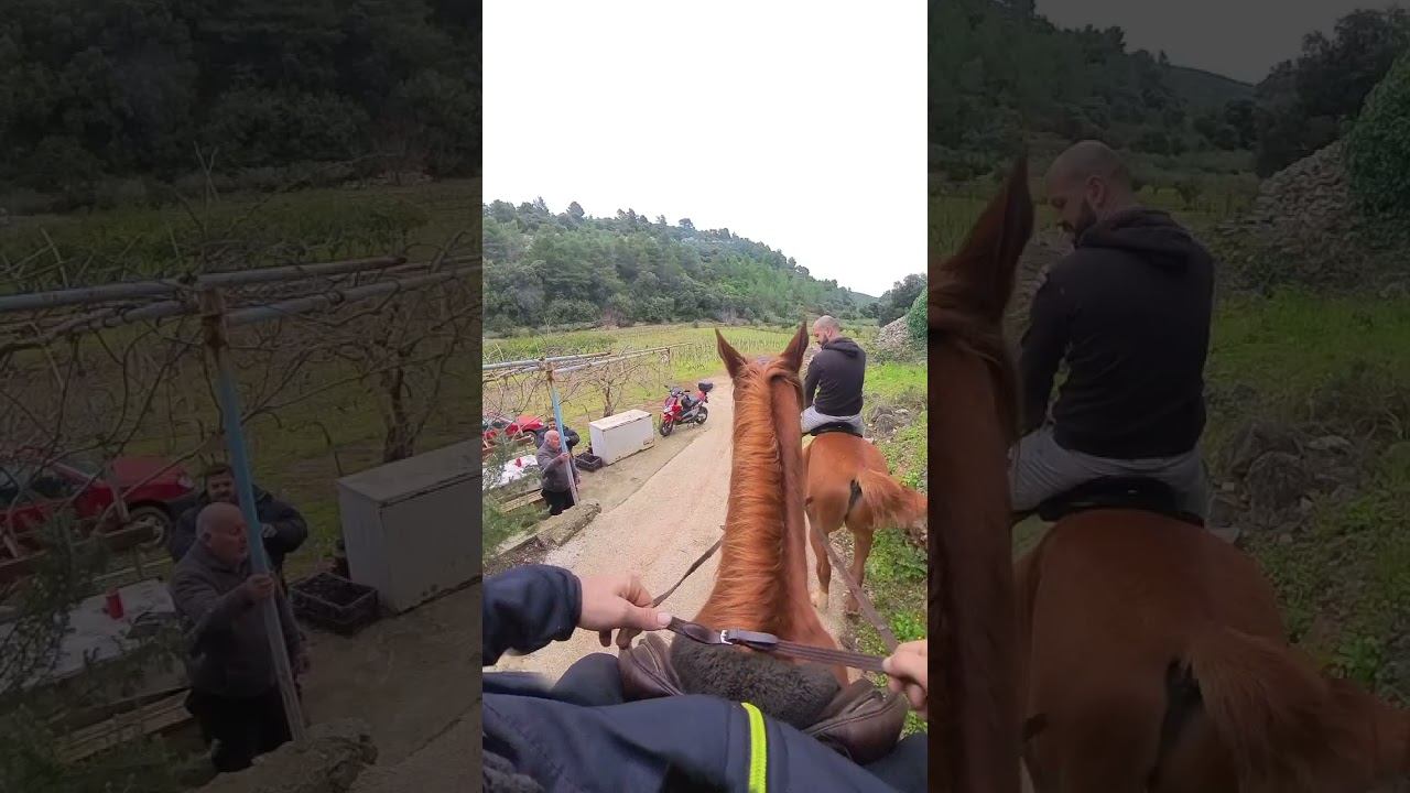 Horseback riding in Postira