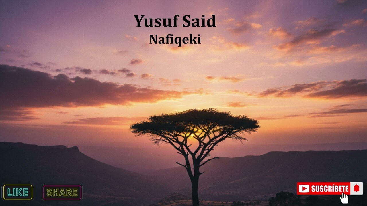 Yusuf Said  Nafiqueki cover music