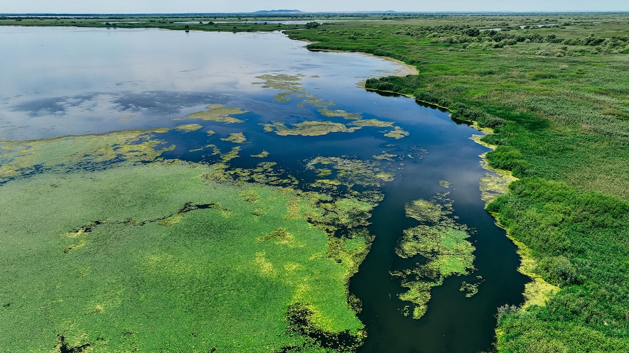 Sejur Delta Dunarii