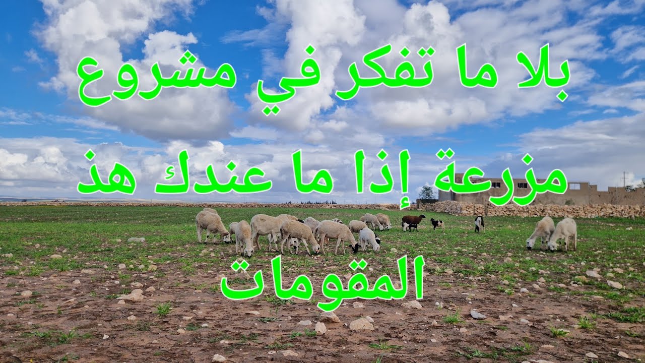 الحلقة 732🌱🐓🐏🌹 جميل تكون عندك مزرعة لكن واش تقدر تسيرها ؟؟