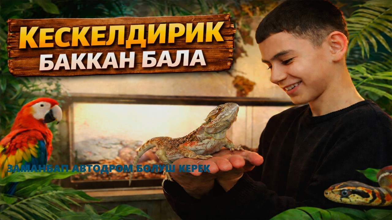 КЕСКЕЛДИРИК БАККАН ОКУУЧУ