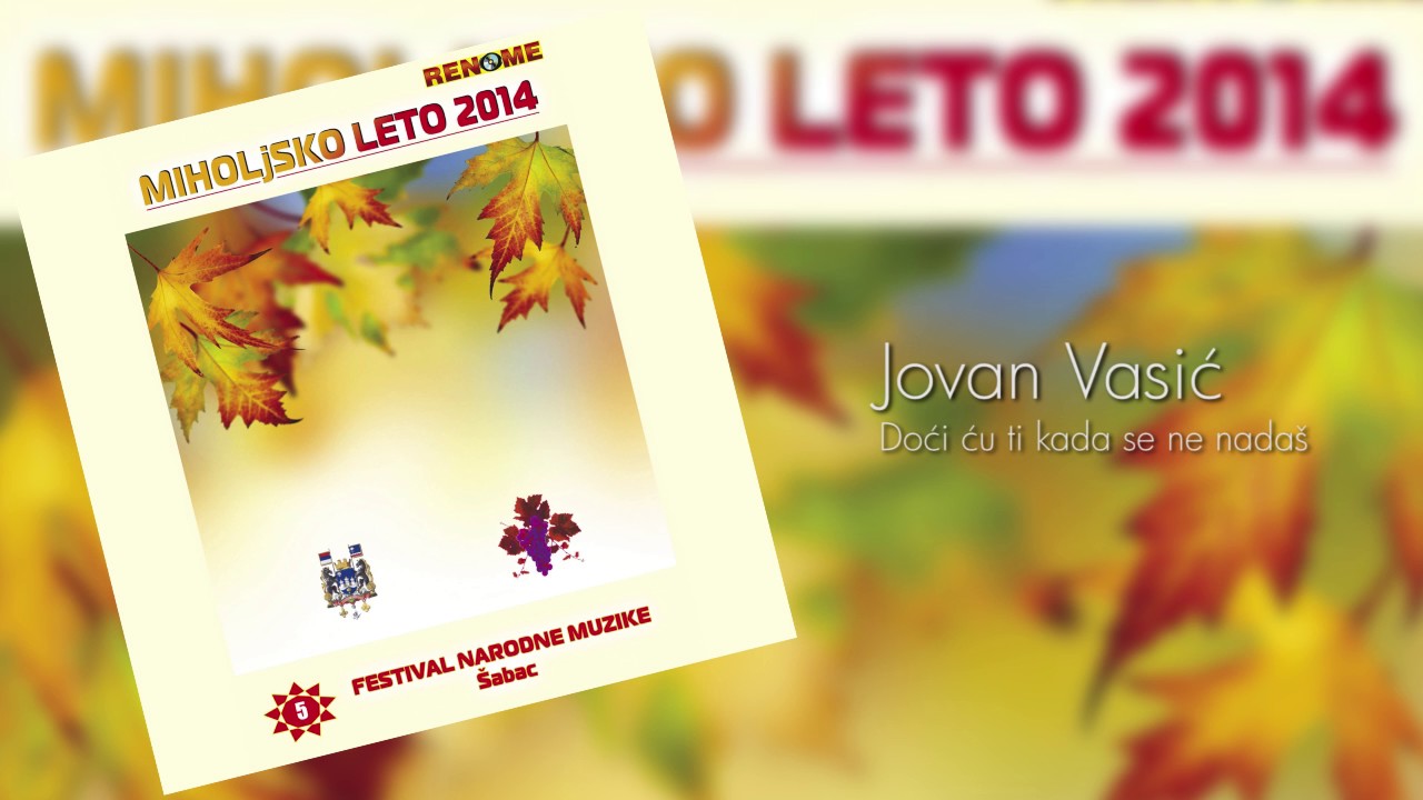 Miholjsko leto 2014 - Jovan Vasic - Doci cu ti kada se ne nadas - (Audio 2014)