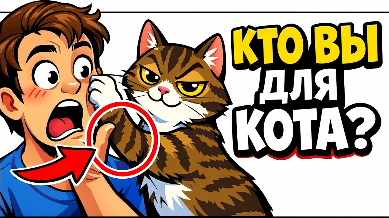 Ваш кот не воспринимает вас как человека (вот кем вы на самом деле являетесь для него). 🐱