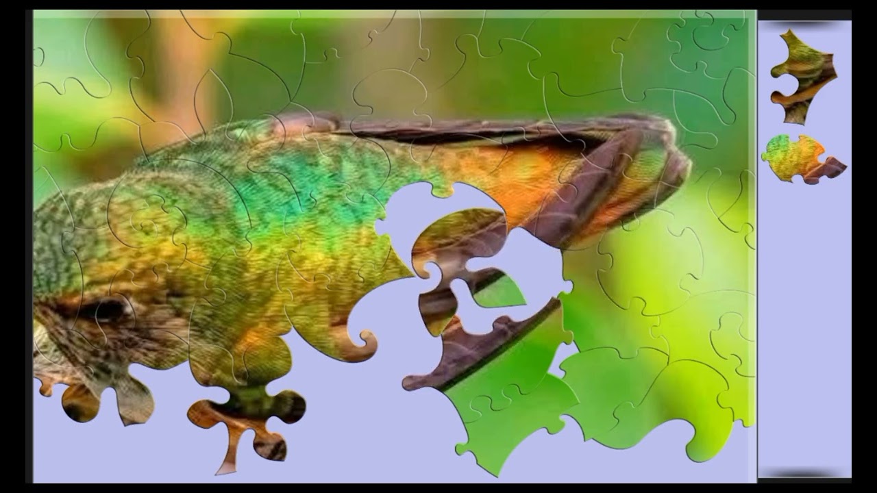 Hummingbird with Eggs🐦🐦 jigsaw puzzle🧩🧩 || @funpuzzle1122 