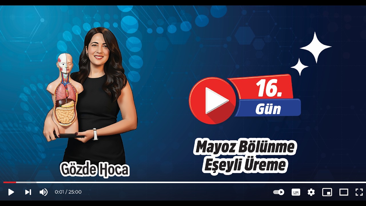 16.GÜN - MAYOZ BÖLÜNME VE EŞEYLİ ÜREME