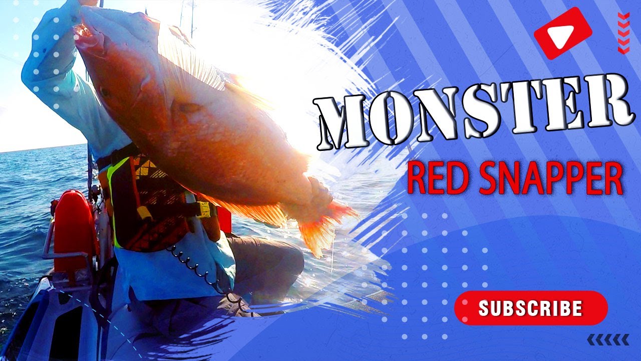 Caught HUGE Red Snappers with my new rod set up!