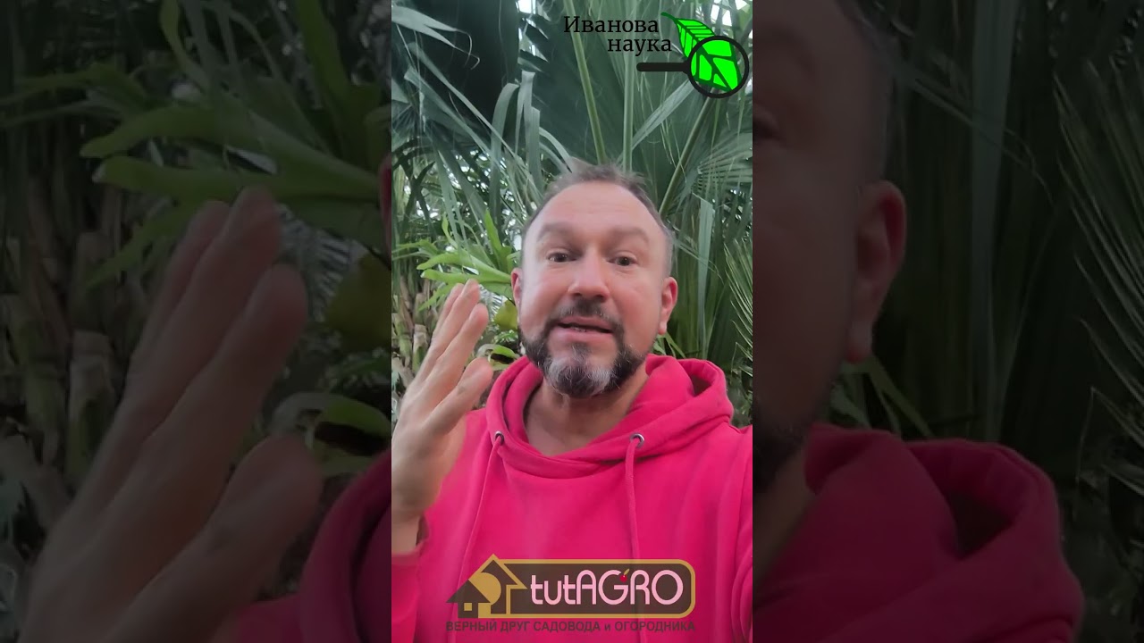 Как избавиться от бородавок и папиллом навсегда: эффективный способ.