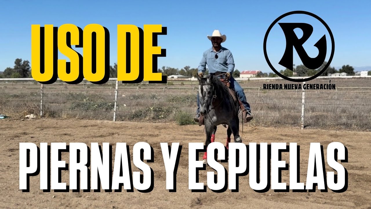 Como usar las piernas y espuelas (como dar pierna) 