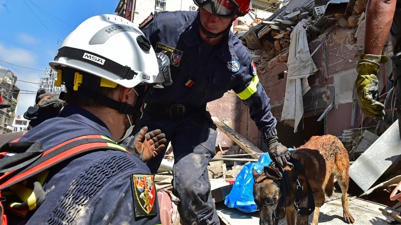 Virtual briefing on the Humanitarian situation in Lebanon (10 August 2020)