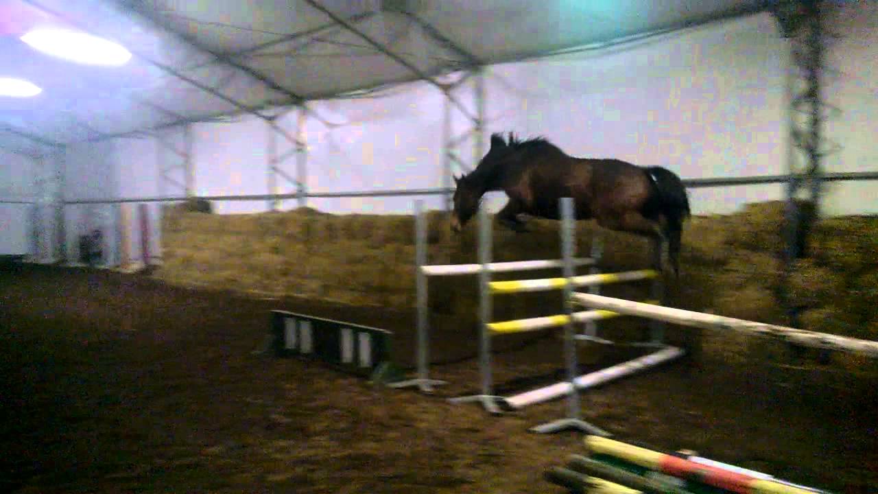 Jacek Krukowski - Przeszkody Jeździeckie - Stojaki Treningowe - Metal training stands
