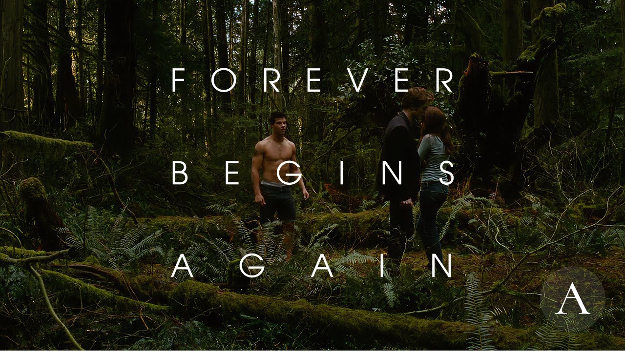 forever begins again | new moon alternative playlist