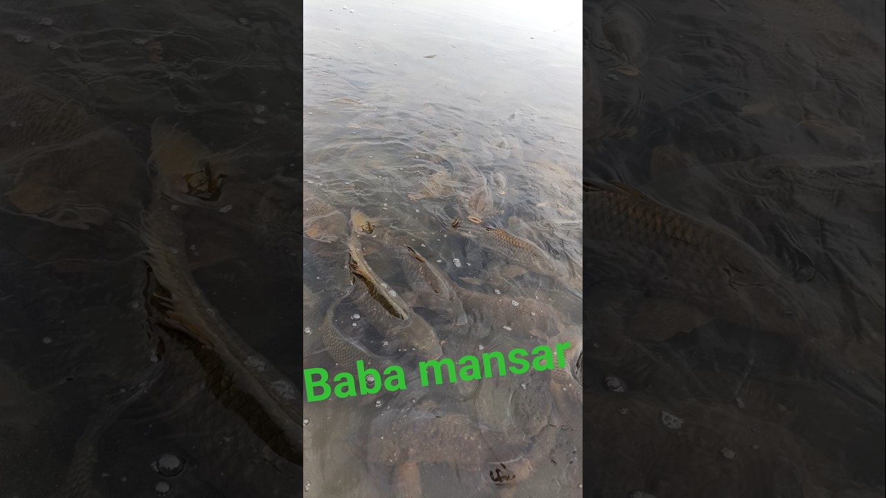 Baba mansar de badiyan roonka lagian🙏🙏